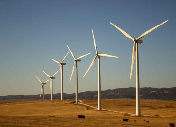 Businessman. Services